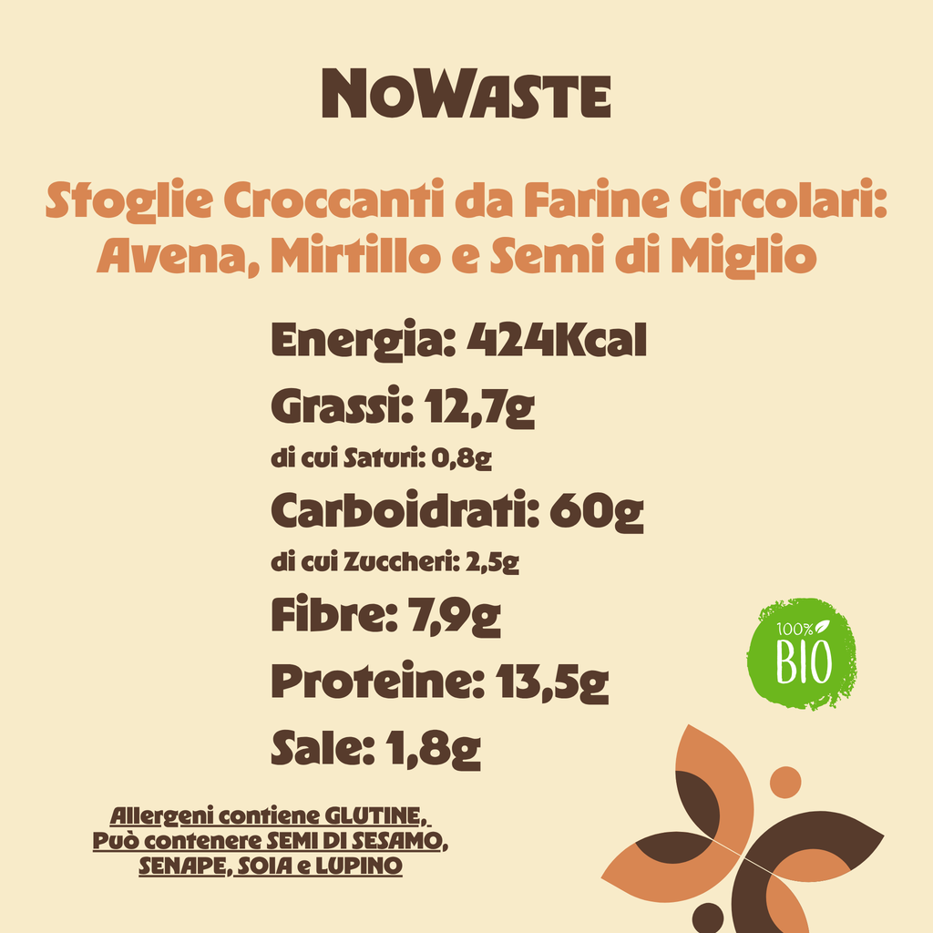 Sfoglie Croccanti Avena, Mirtillo e Semi di Miglio BIO 100%Vegetali